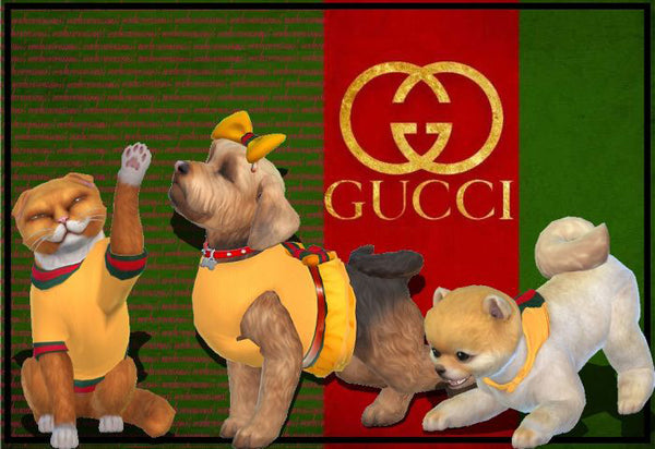 GUCCI DESIGNS LUXURY ITEMS FOR PETS
