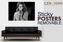 Sticky Posters Removable