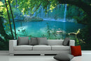Wall Murals